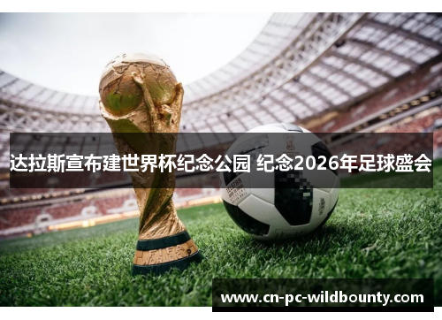 达拉斯宣布建世界杯纪念公园 纪念2026年足球盛会
