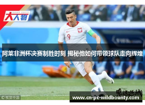 阿莱非洲杯决赛制胜时刻 揭秘他如何带领球队走向辉煌