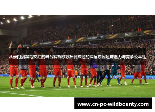 从豪门到黑马交汇的舞台解析欧联杯受欢迎的深层原因足球魅力与竞争公平性