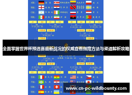 全面掌握世界杯预选赛最新战况的权威查看指南方法与渠道解析攻略