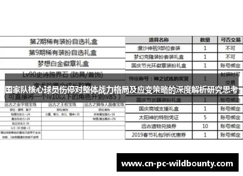 国家队核心球员伤停对整体战力格局及应变策略的深度解析研究思考